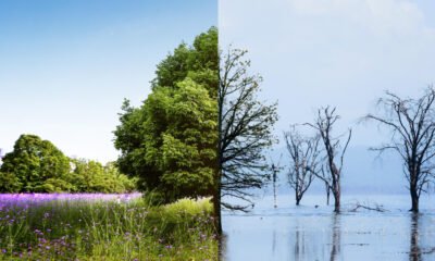 Por que existem estações do ano