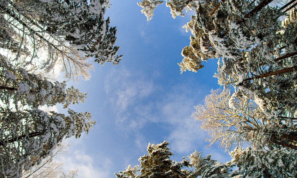 Quanto tempo a Terra leva para mudar de estação