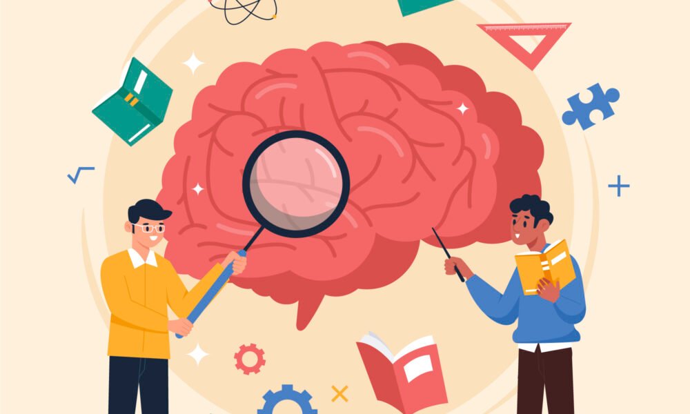 quanto tempo o cérebro retém informação estudada